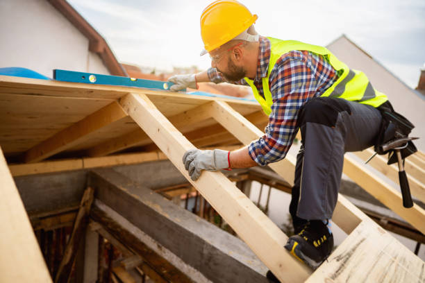 Best Roof Gutter Cleaning  in Decorah, IA