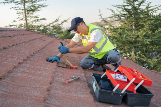 Best Roof Gutter Cleaning  in Decorah, IA